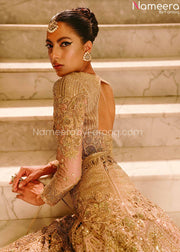 Pakistani Bridal Dress