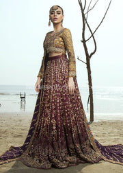 Pakistani Bridal Dress