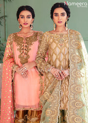 Pakistani Bridal Dress