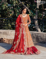 Pakistani Bridal Dress
