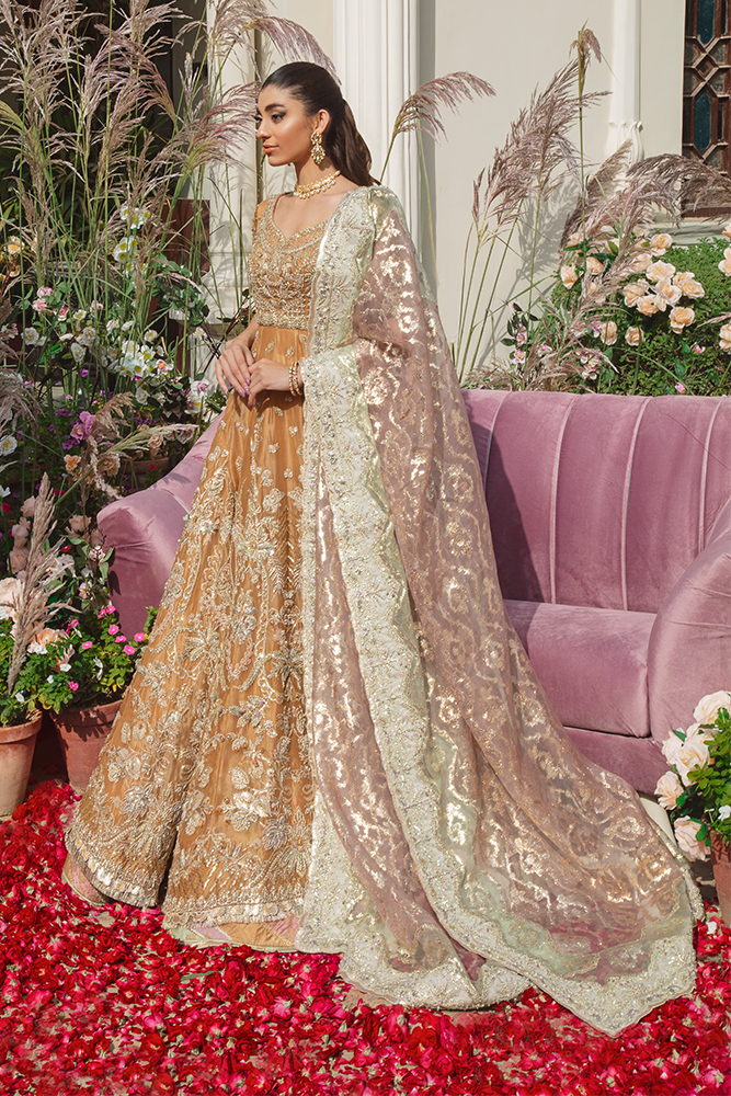 Elegant Pakistani Bridal Dress - Pishwas Frock Lehenga Style