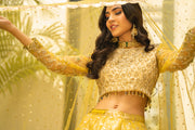 Pakistani Bridal Dress in Yellow Lehenga Choli Style