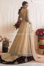 Pakistani Bridal Frock