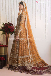 Pakistani Bridal Frock