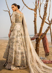 Pakistani Bridal Frock