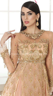 Pakistani Bridal Gown