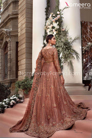 Pakistani Bridal Gown