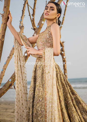 Pakistani Bridal Lehenga Choli