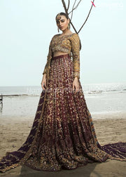 Pakistani Bridal Lehenga Choli