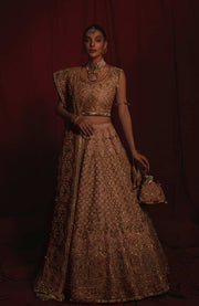 Pakistani Bridal Lehenga with Choli and Dupatta Dress