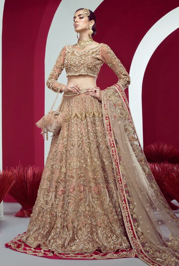 Pakistani Bridal Lehnga Choli for Wedding