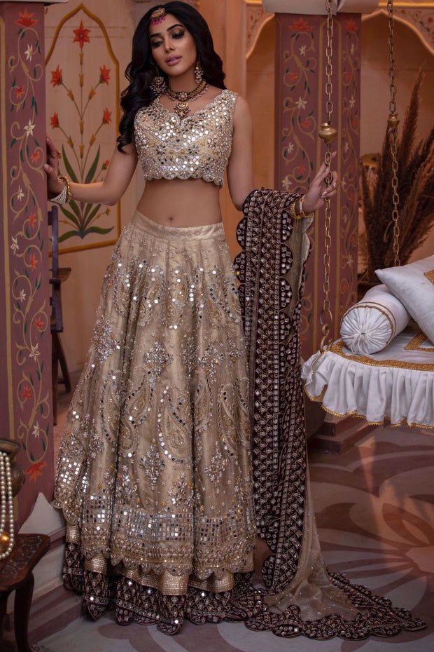 Pakistani Bridal Mirror Lehenga Choli Dress