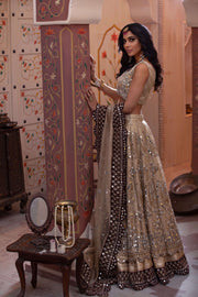 Pakistani Bridal Mirror Lehenga Choli Dupatta Dress