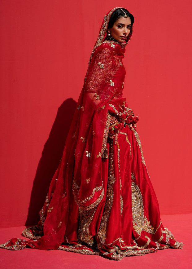 Pakistani Bridal Red Lehenga Choli Dupatta Dress