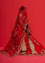 Pakistani Bridal Red Lehenga Choli and Dupatta Dress Online