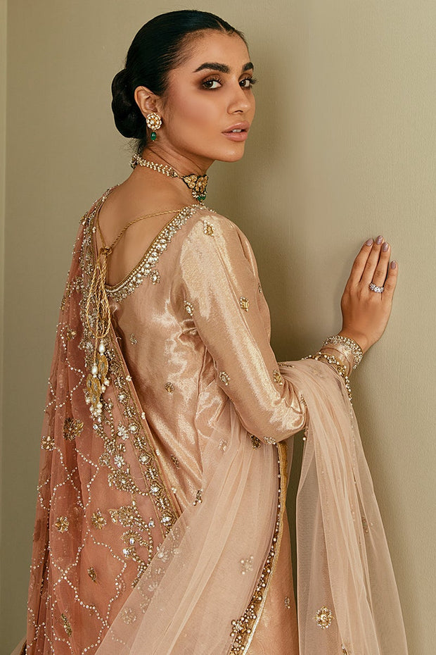 Pakistani Bridal Sharara Suit in Tissue