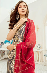 Pakistani Chiffon Dresses Online Shopping Close Up