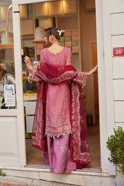 Pakistani Chiffon Dress in Wedding Kameez Trouser Style Online