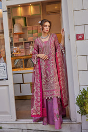 Pakistani Chiffon Dress in Wedding Kameez Trouser Style