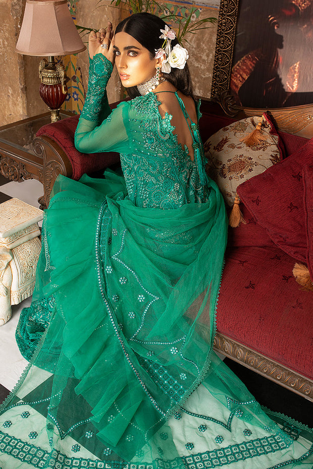 Pakistani Chiffon Dress with Net Dupatta Backside Look