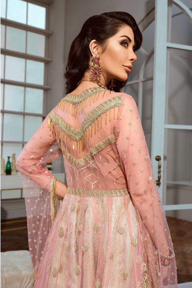 Pakistani Chiffon Frock for Party in Pink Color Backside