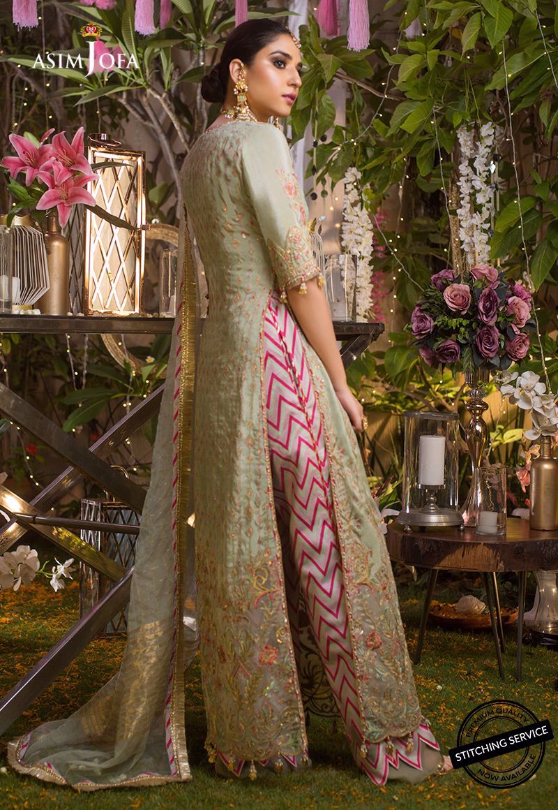 Pakistani Chiffon Wedding  Party Wear Backside View