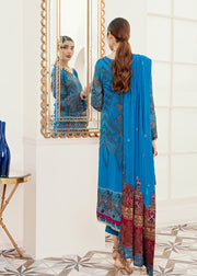 Pakistani Designer Chiffon Outfit Backside Look