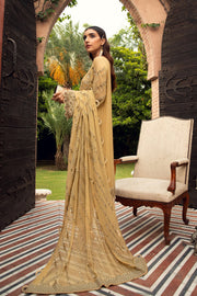 Pakistani Designer Dress