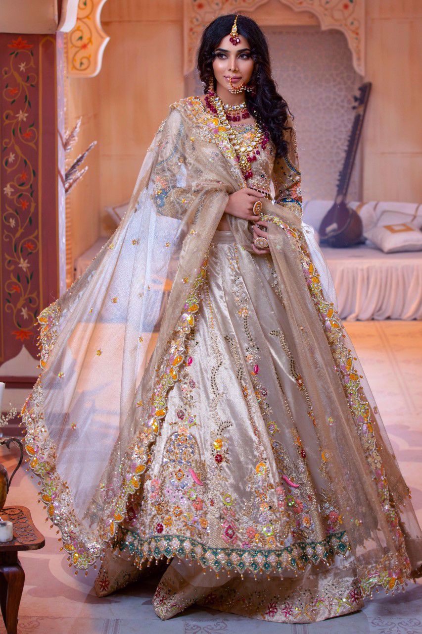 Pakistani Double Layered Lehenga Choli Dress