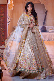 Pakistani Double Layered Lehenga Choli Dress