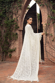 Pakistani Dress