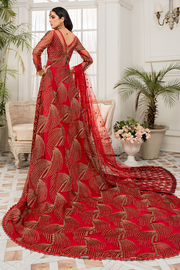 Pakistani Dress