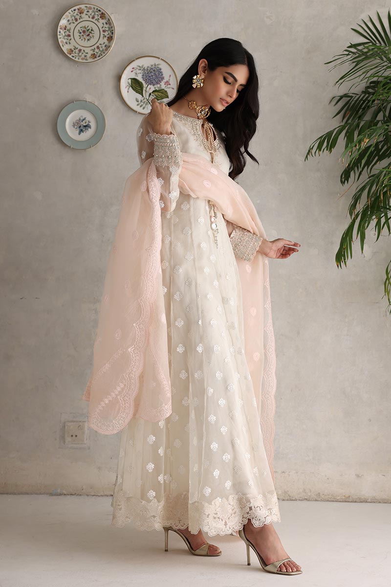 Pakistani Dress
