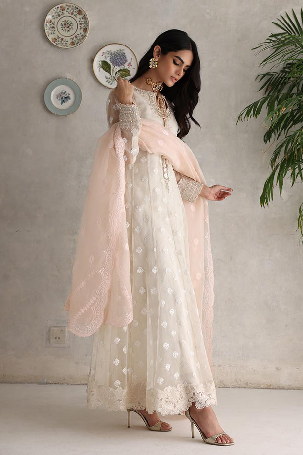 Pakistani Dress