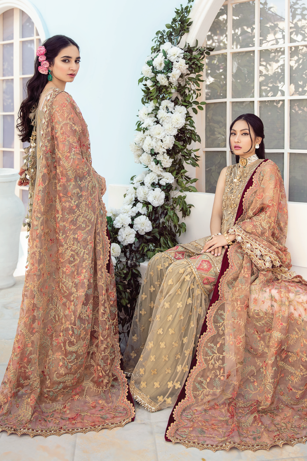 Pakistani Dress