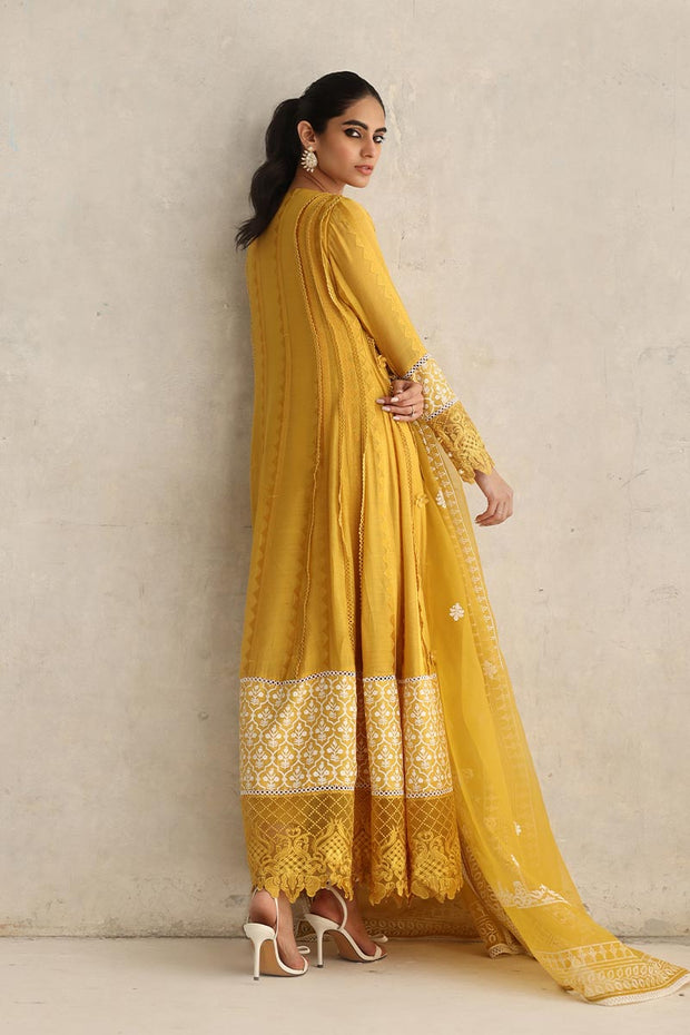 Pakistani Dress
