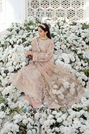 Pakistani Dress
