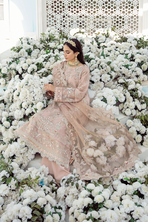 Pakistani Dress