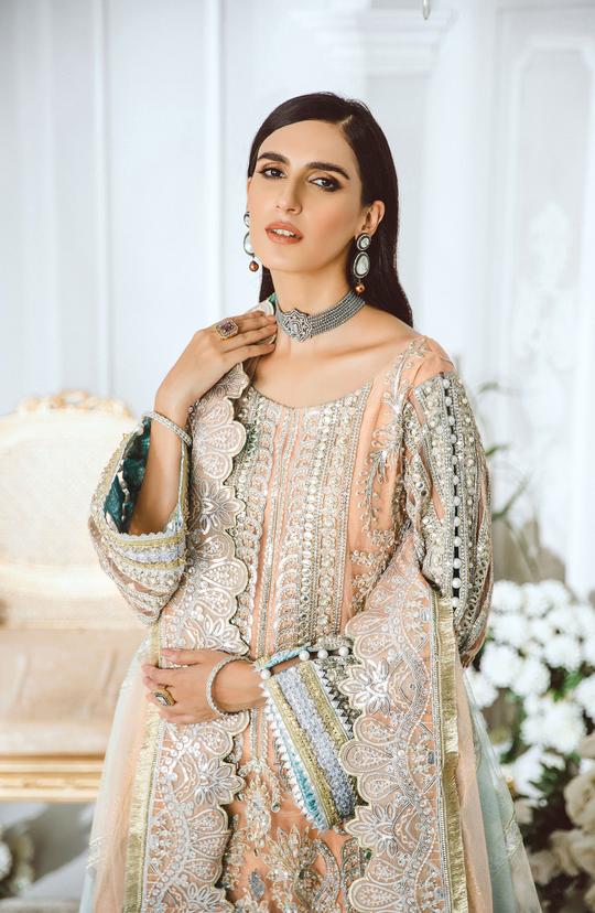 Pakistani Dress