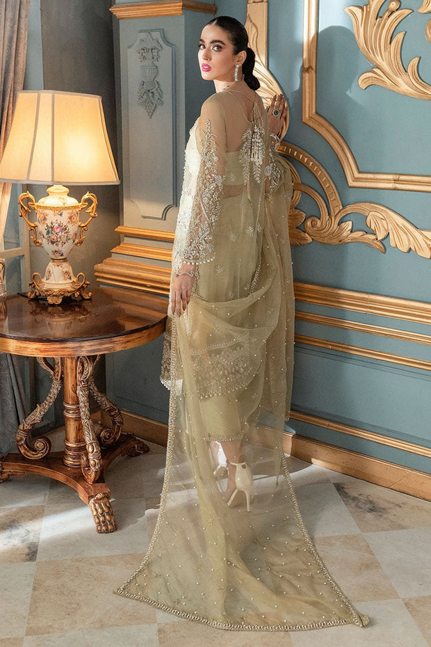 Pakistani Dress