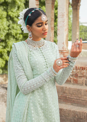 Pakistani Dress