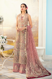 Pakistani Dress