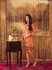 Pakistani Dress for Wedding Party Female 2021 Overall Look