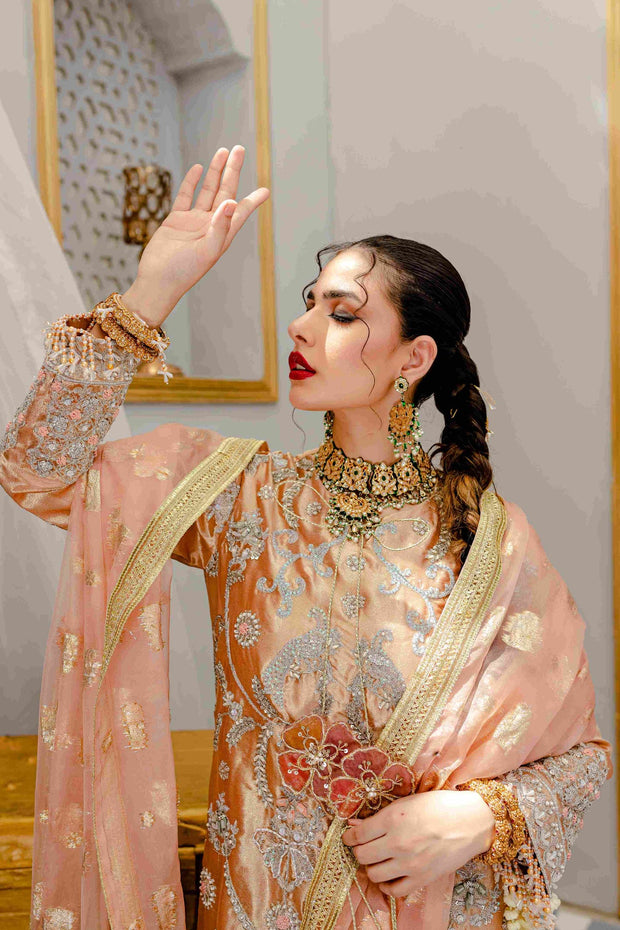 Pakistani Dress in Kameez Trouser Style