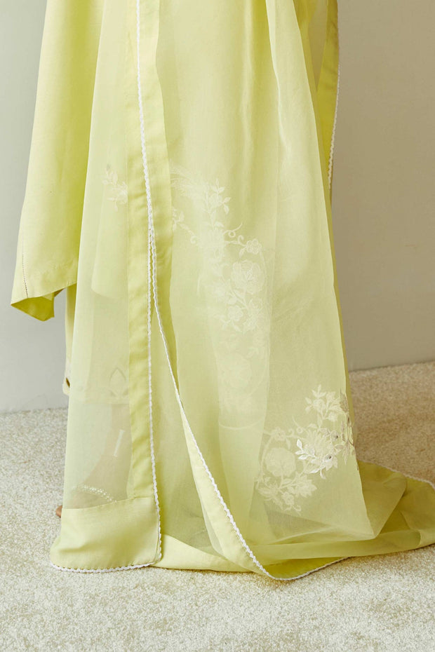 Pakistani Dress in Salwar Kameez Dupatta Style