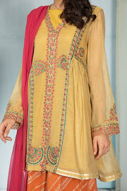 Pakistani Dress in Short Frock and Gharara Style