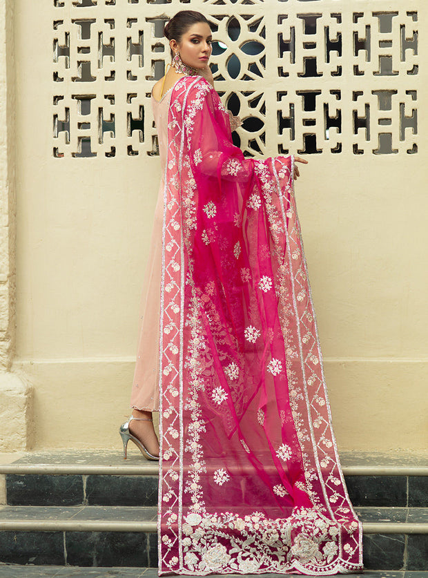 Pakistani Dress in Soft Baby Pink Shade