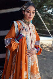 Pakistani Eid Dress