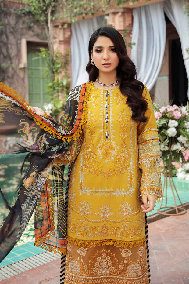 Pakistani Eid Dress
