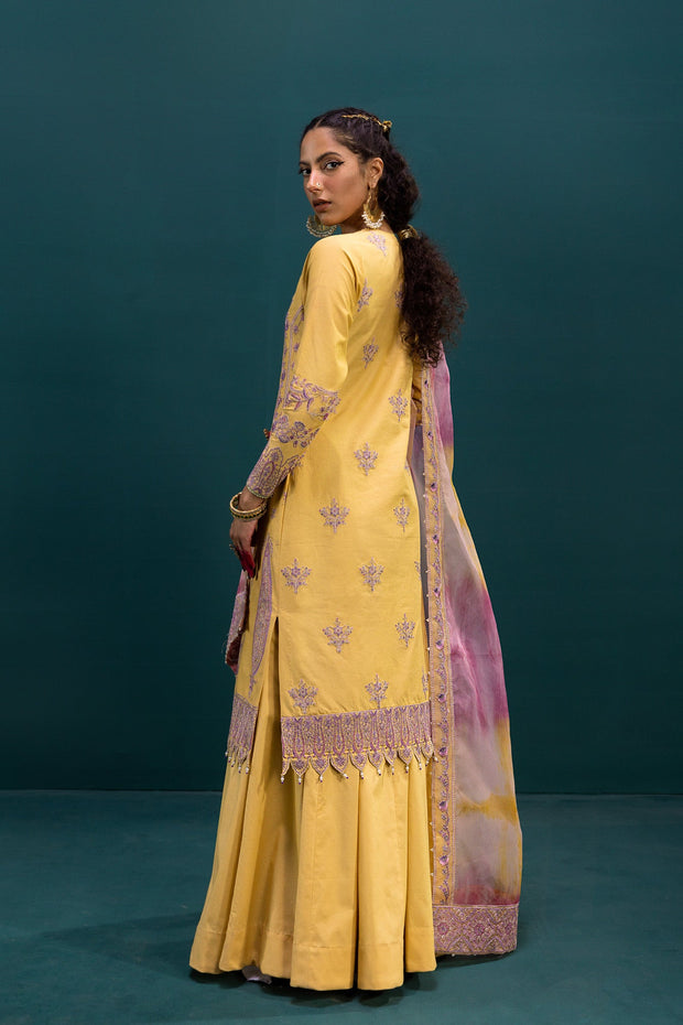 Pakistani Eid Dresses